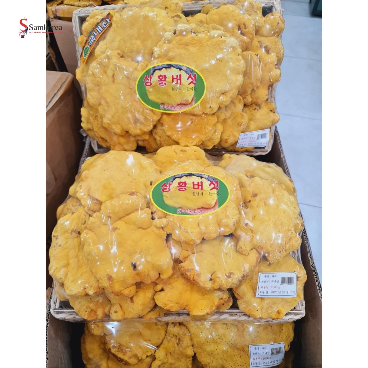 NẤM THƯỢNG HOÀNG HÀN QUỐC - Ảnh 6