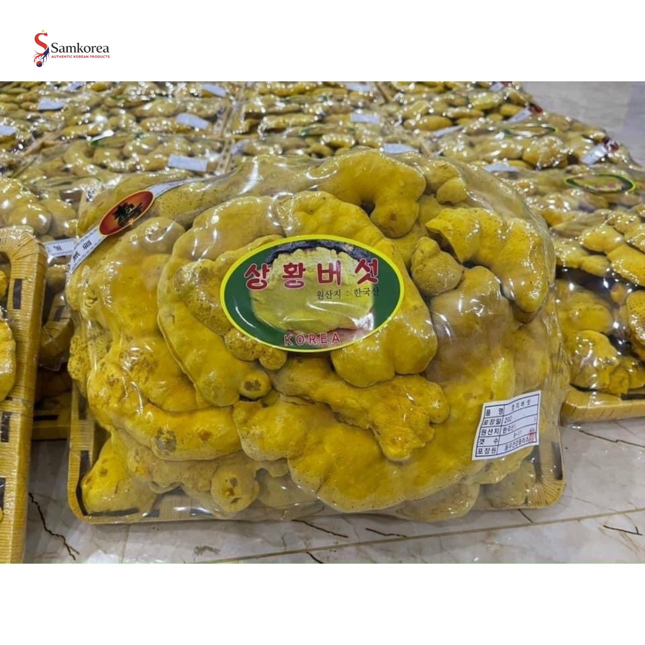 NẤM THƯỢNG HOÀNG HÀN QUỐC - Ảnh 5